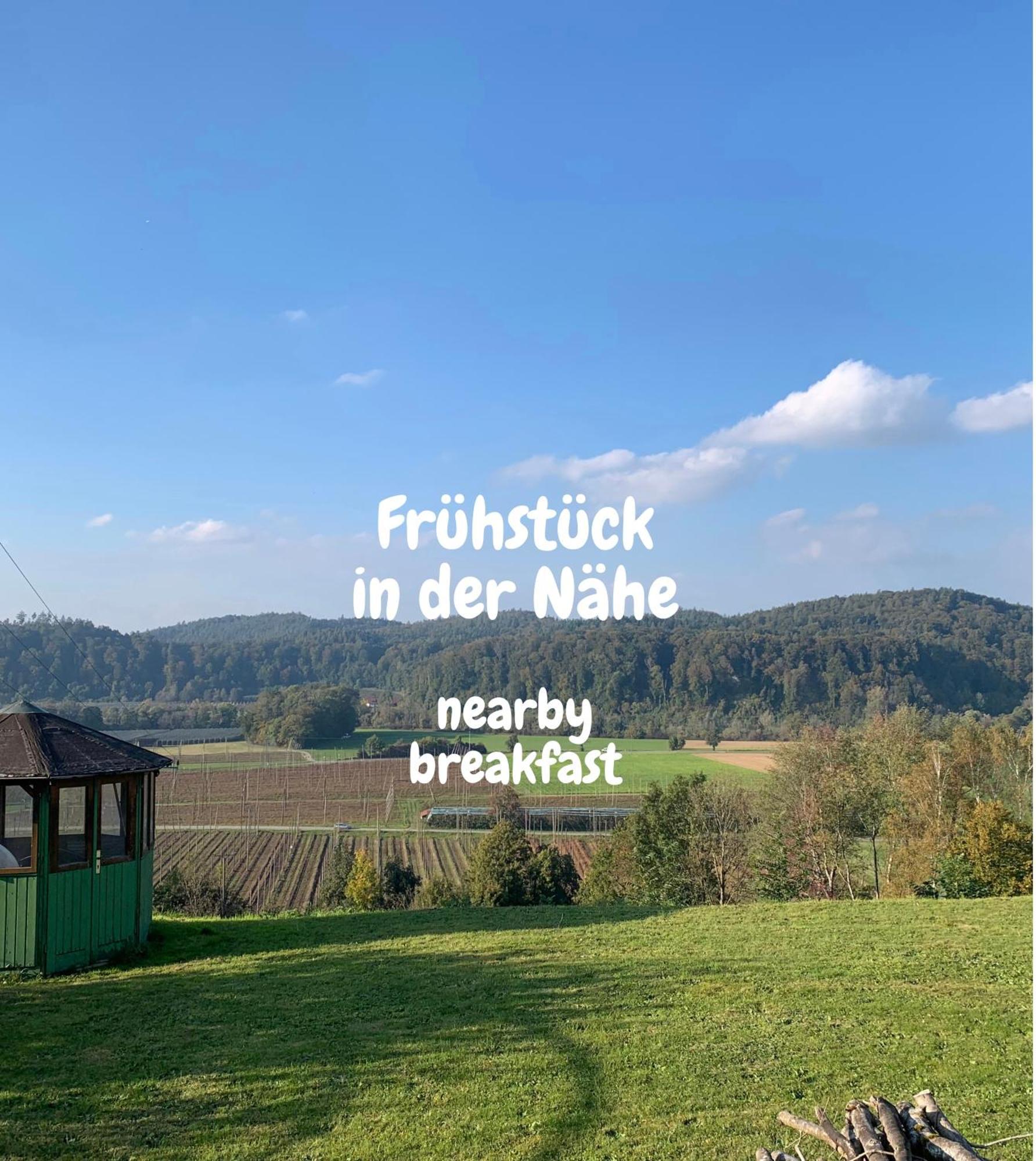 Einzigartiger Panoramablick, Bodensee Und Messe In Der Naehe Tettnang Exterior photo